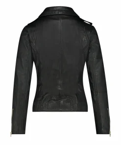 IBANA Bear Blaze Blacksilver- Never Out Of Stock